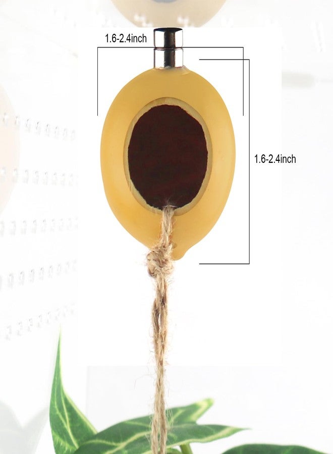 NANEEZOO Spider Hide Magnetic Jumping Spider Habitat Made of Natural Gourd, Handmade Insect Hideout Enclosure Accessories, Cute Decoration for Terrarium Cage - Image 4